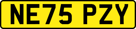 NE75PZY