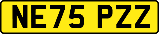 NE75PZZ