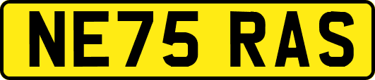 NE75RAS