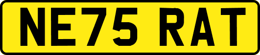NE75RAT