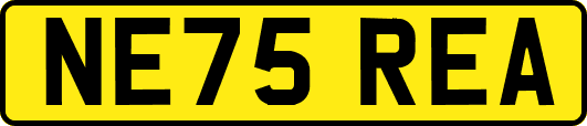 NE75REA