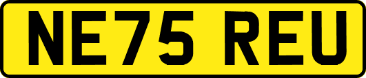 NE75REU