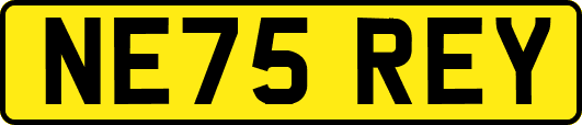 NE75REY