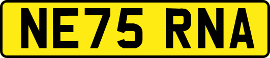 NE75RNA
