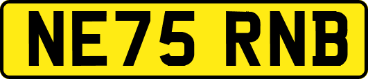 NE75RNB