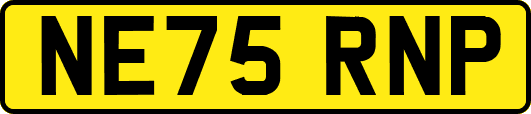 NE75RNP