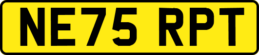 NE75RPT