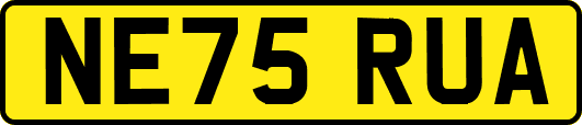 NE75RUA