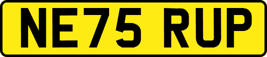 NE75RUP