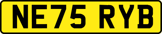 NE75RYB