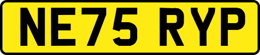 NE75RYP