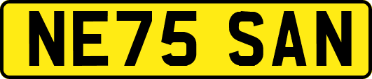 NE75SAN