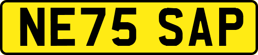 NE75SAP