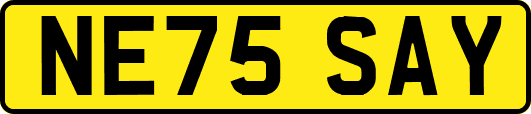 NE75SAY