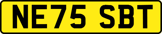 NE75SBT