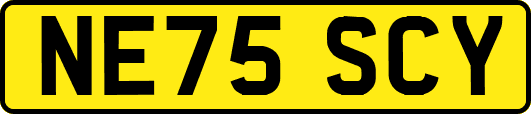 NE75SCY