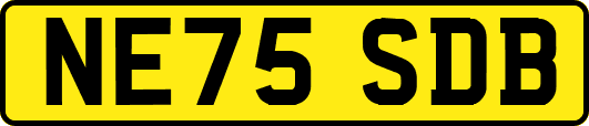 NE75SDB