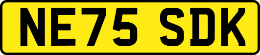 NE75SDK