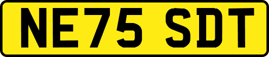 NE75SDT
