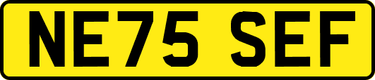 NE75SEF