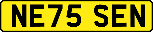 NE75SEN