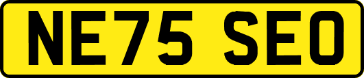 NE75SEO