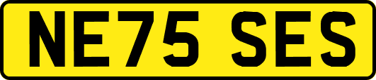 NE75SES