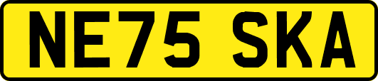 NE75SKA