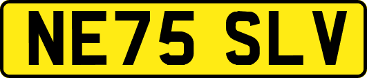 NE75SLV