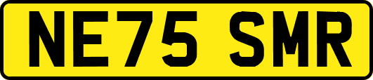 NE75SMR