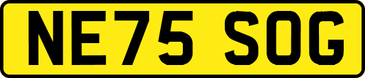 NE75SOG