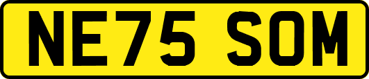 NE75SOM
