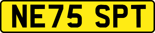 NE75SPT