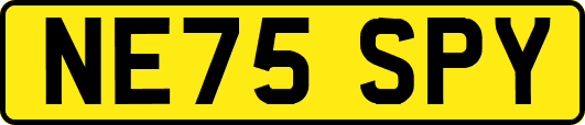 NE75SPY