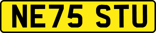NE75STU