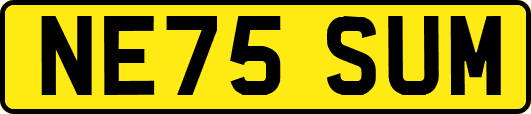 NE75SUM