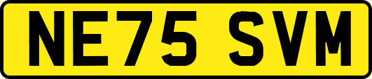 NE75SVM