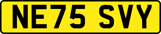 NE75SVY