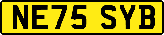 NE75SYB