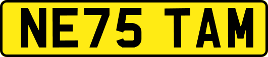 NE75TAM