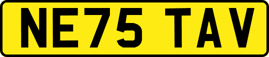 NE75TAV