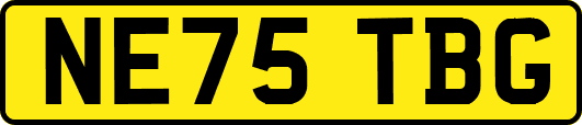 NE75TBG