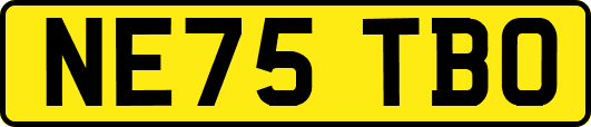 NE75TBO