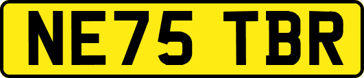 NE75TBR