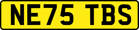 NE75TBS