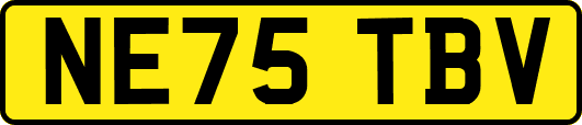 NE75TBV