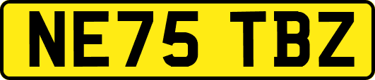 NE75TBZ