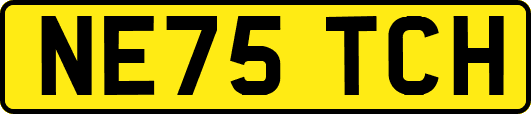 NE75TCH
