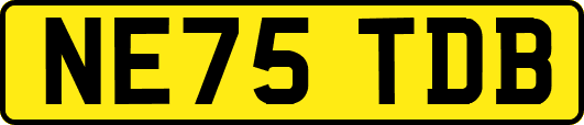 NE75TDB