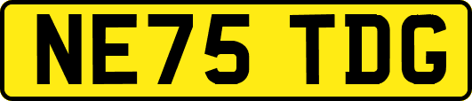 NE75TDG